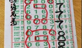 四海兄弟汇青岛 四海兄弟汇青岛