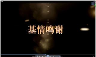 字幕文件怎么用 字幕文件怎么用