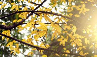 遗憾的过客 遗憾的过客