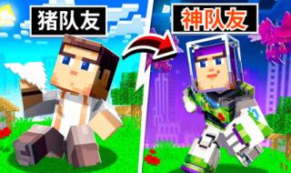 猪先生游戏解说